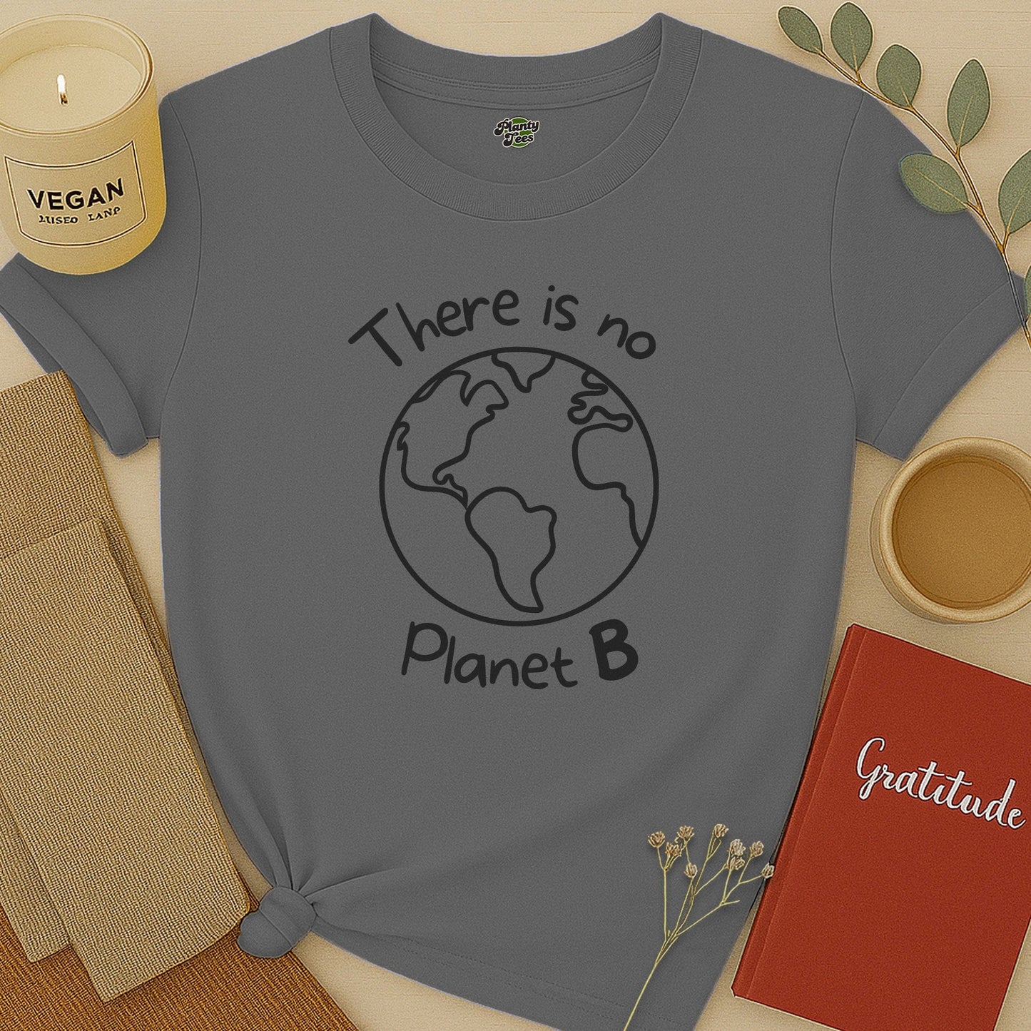 There Is No Planet B T-Shirt