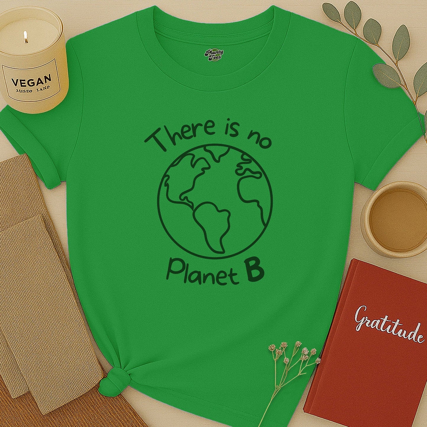 There Is No Planet B T-Shirt